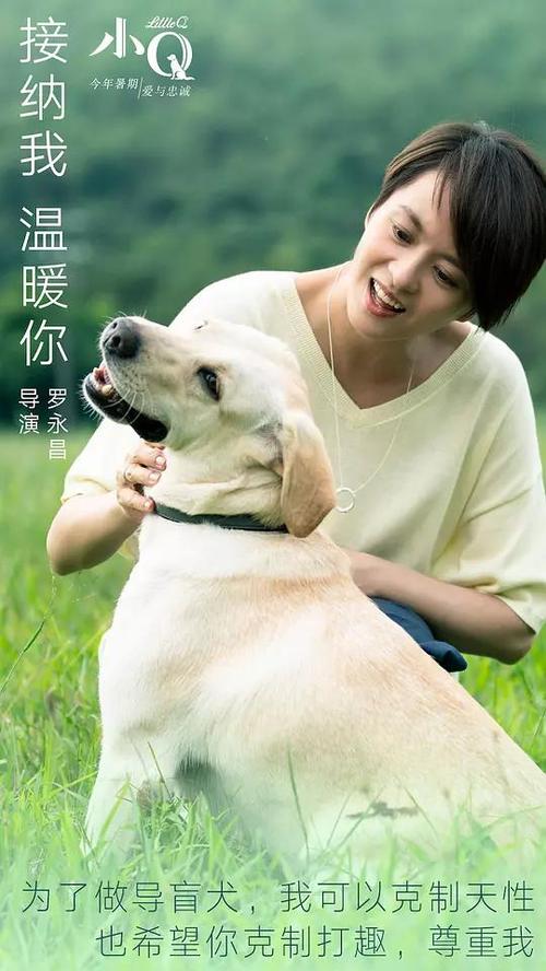 办假的日本产业技术大学院大学文凭毕业证